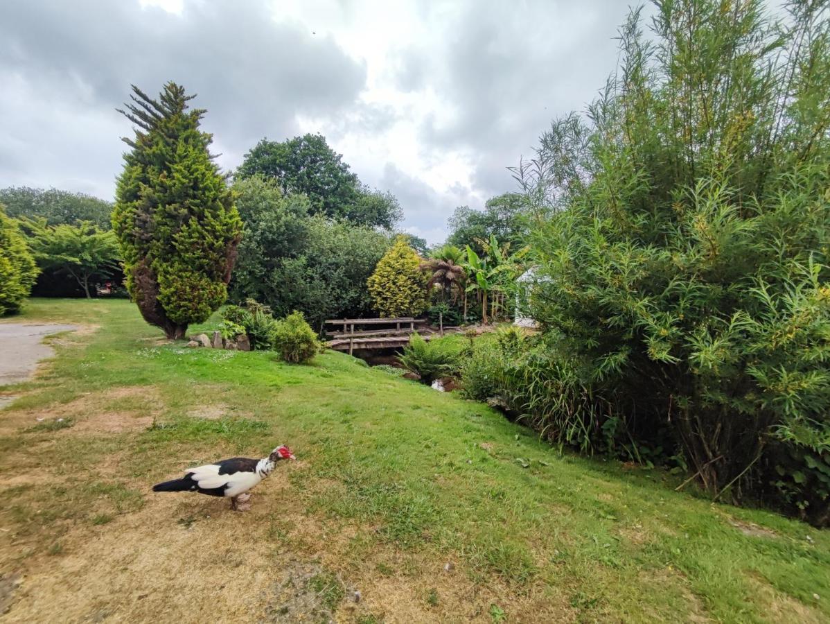 Tree Fern Barn Vila St Austell Exterior foto